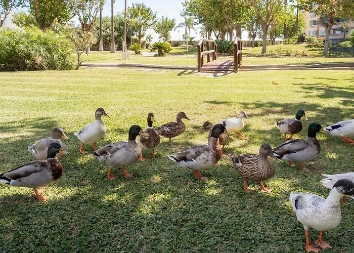 Sunstay Costa Flat Iii Appartamento