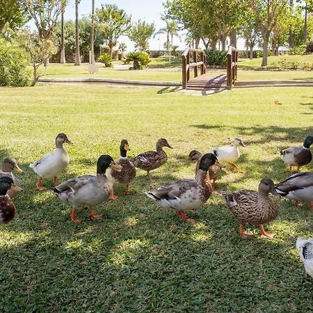 Sunstay Costa Flat Iii Appartamento